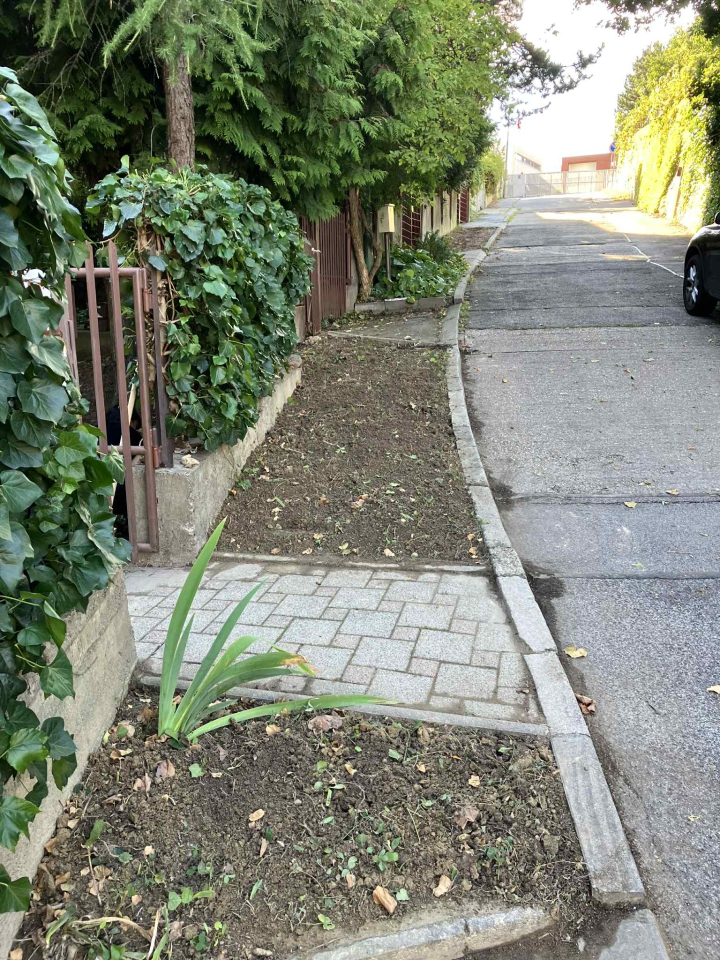 Ručné odstraňovanie buriny