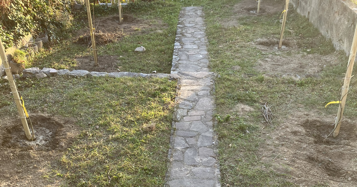 Sadenie mladých jabloní
